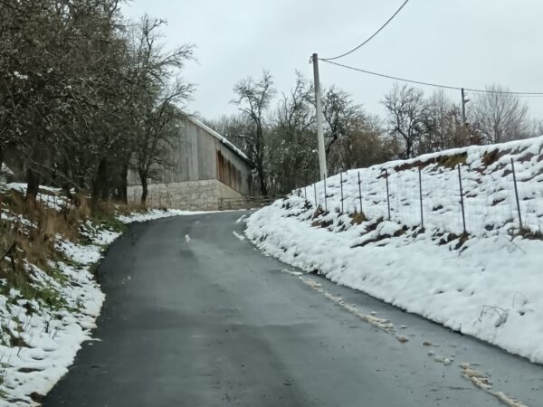 IMG-20241218-WA0001